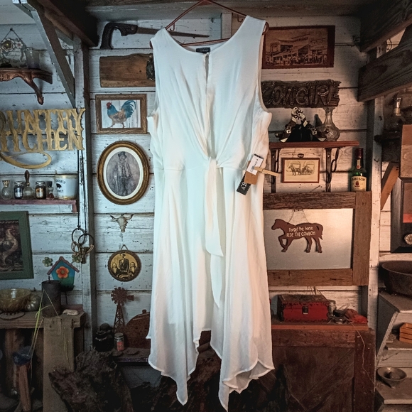 NWT Dress Barn sleeveless dress - Picture 3 of 5